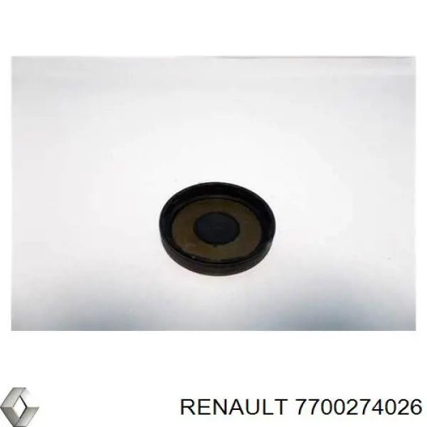 Заглушка ГБЦ/блоку циліндрів Renault (RVI) 7700274026 ціна, від 3.95 USD