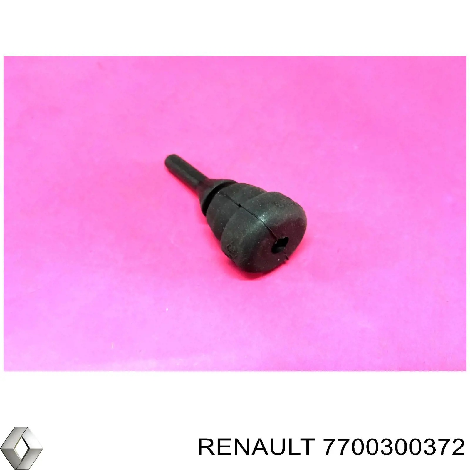  7700300372 Renault (RVI)