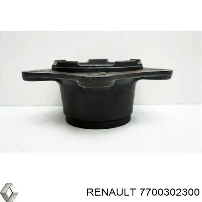 7700302300 Renault (RVI) маточина задня