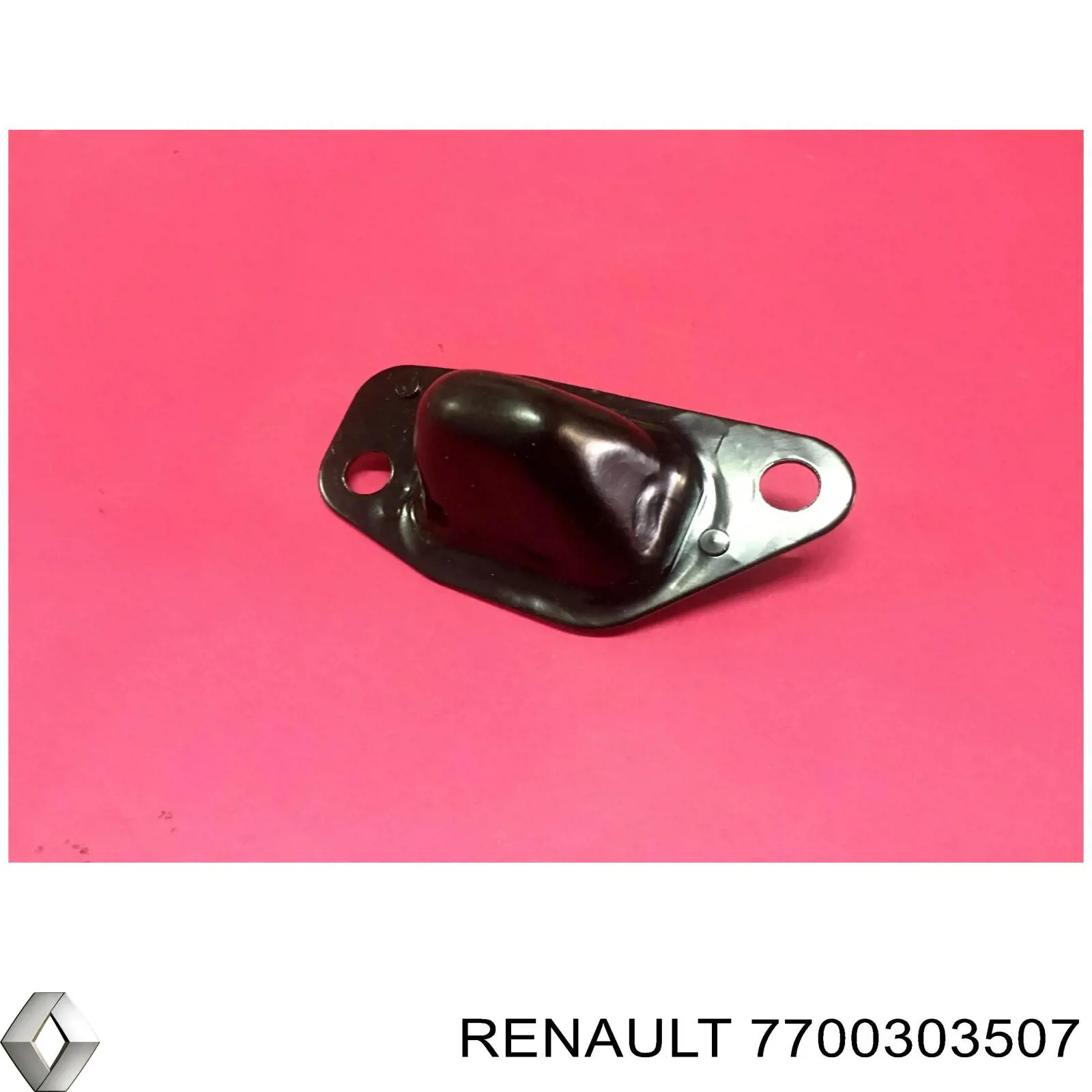 7700303507 Renault (RVI) 