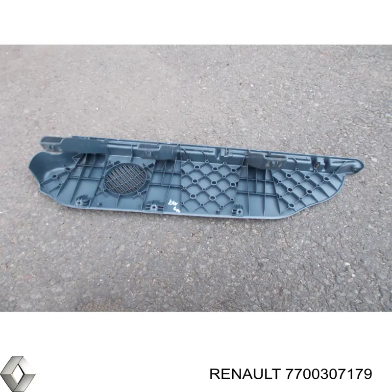  7700307179 Renault (RVI)