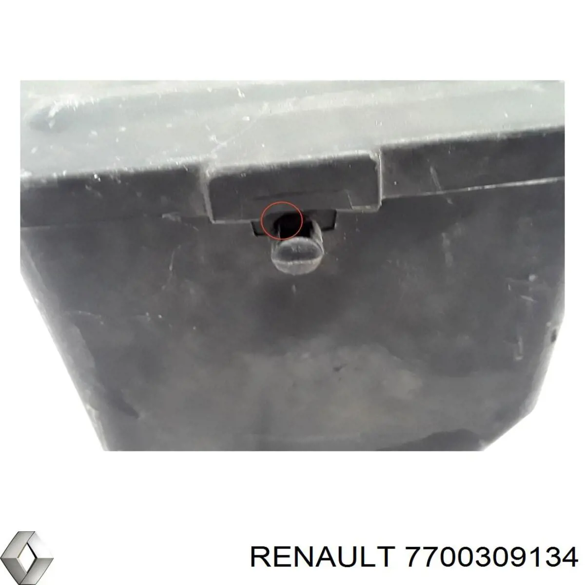 Купити 7700309134 Renault (RVI) 