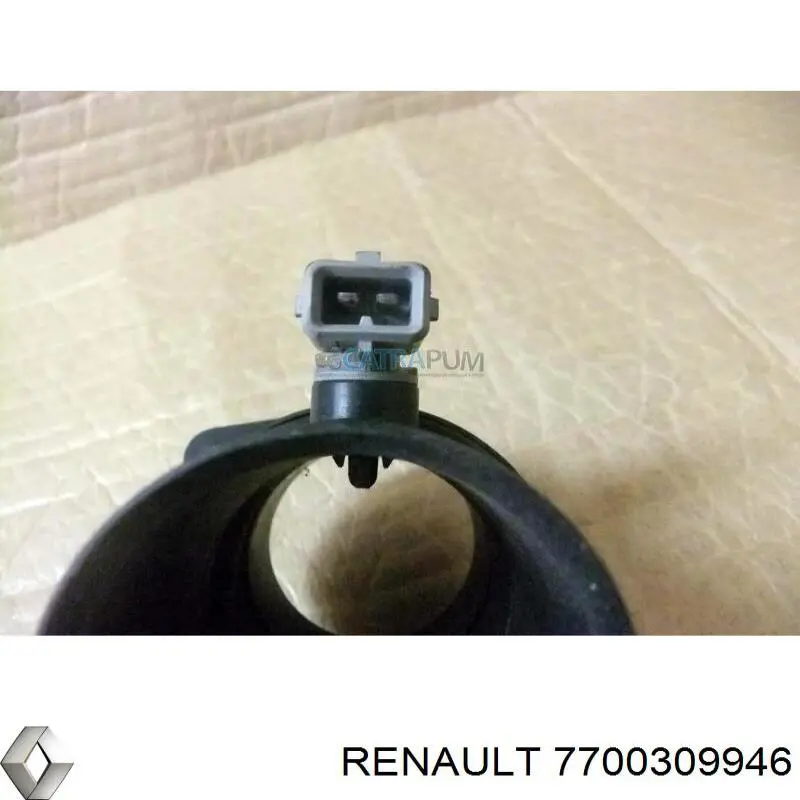  7700309946 Renault (RVI)