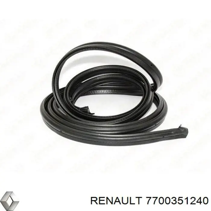 Ущільнювач двері задньої (на кузові) Renault (RVI) 7700351240 ціна, від 62.27 USD