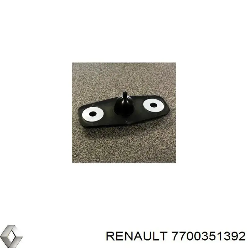 7700351392 Renault (RVI) петля-зачіп (відповідна частина замка зсувних дверей)