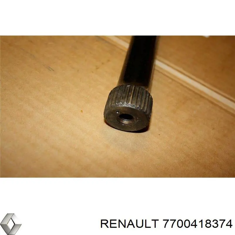  7700418374 Renault (RVI)