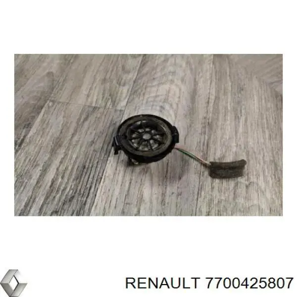  7700425807 Renault (RVI)