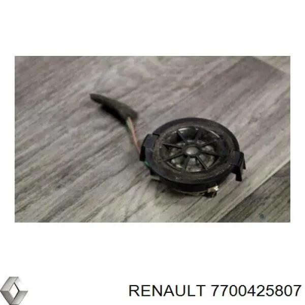 Купити 7700425807 Renault (RVI) 