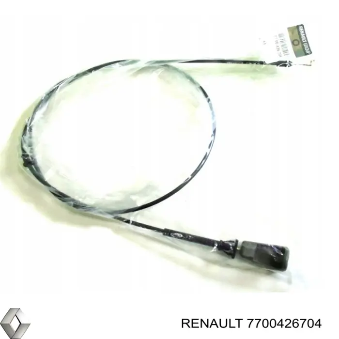  7700426704 Renault (RVI)