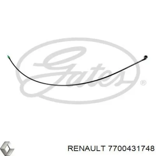 Трубка паливна, від фільтра до насосу Renault (RVI) 7700431748 ціна, від 26.89 USD