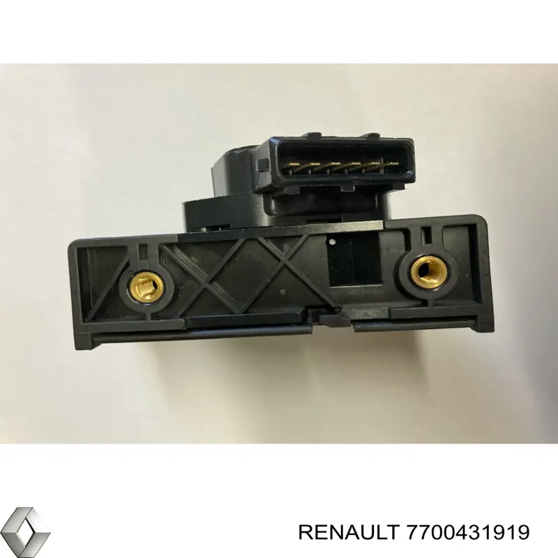  7700431919 Renault (RVI)