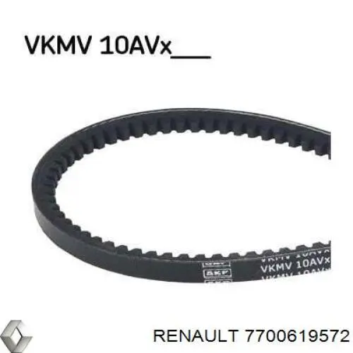 Ремінь приводний, агрегатів 7700619572 Renault (RVI)