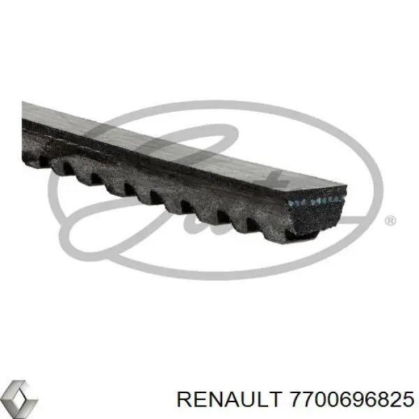 Ремінь приводний, агрегатів 7700696825 Renault (RVI)