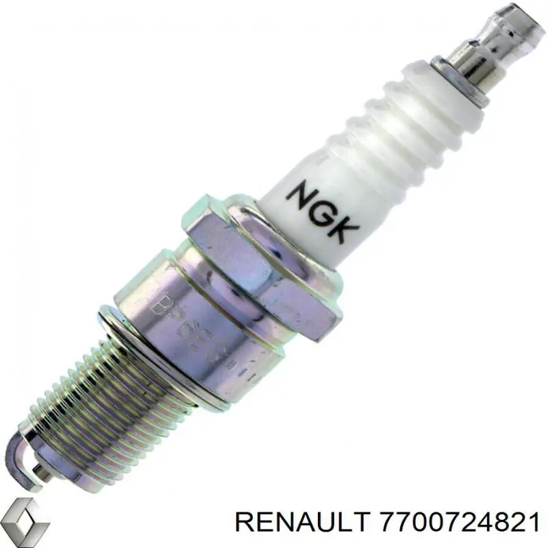  7700724821 Renault (RVI)