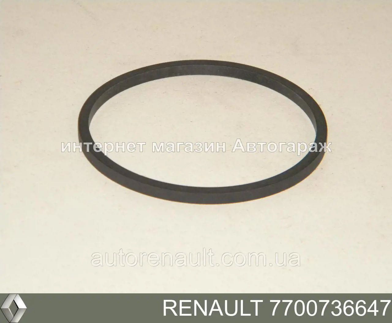 Купити 7700736647 Renault (RVI) Прокладка радіатора масляного