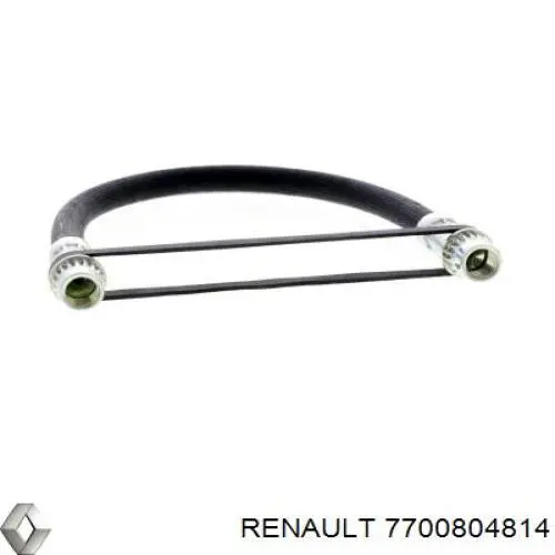 Шланг гальмівний задній 7700804814 Renault (RVI)