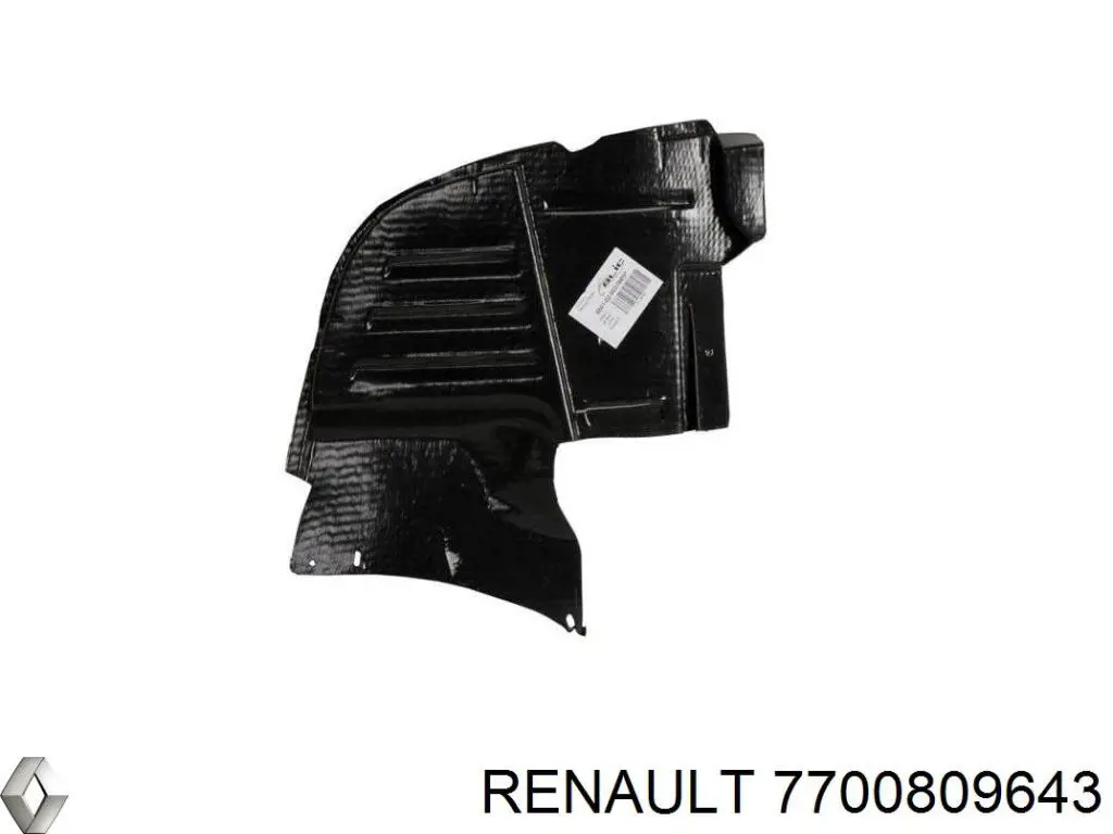  7700809643 Renault (RVI)