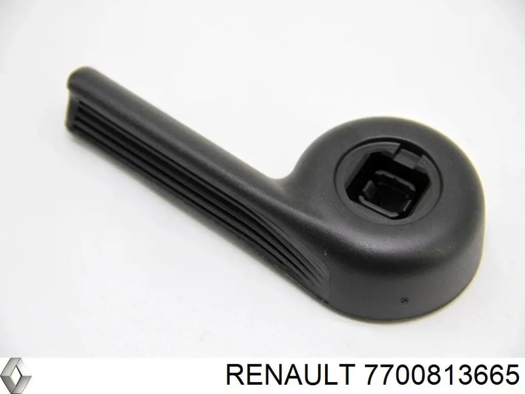  7700813665 Renault (RVI)