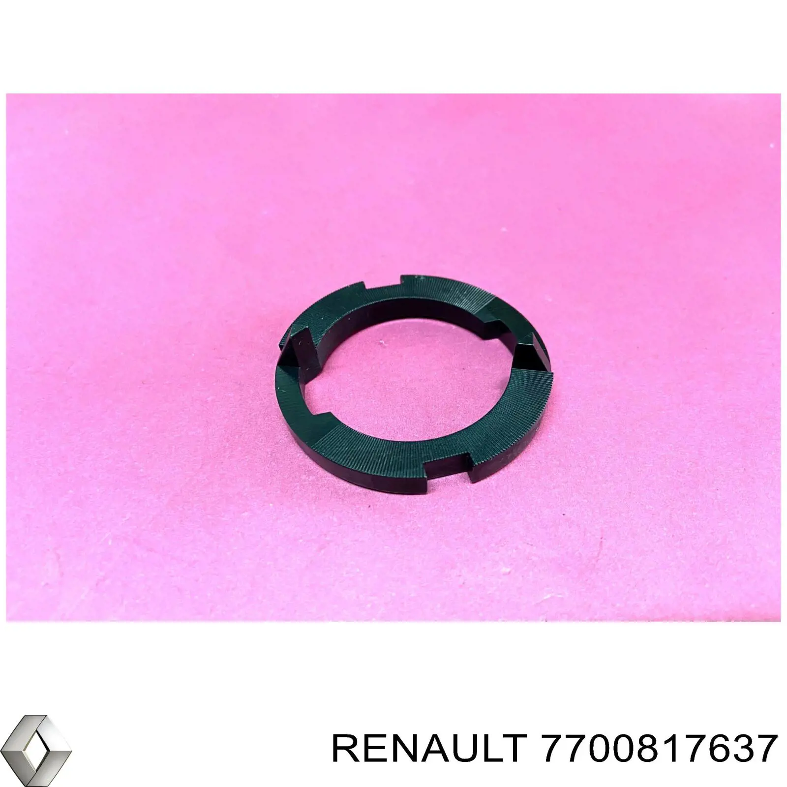  7700817637 Renault (RVI)