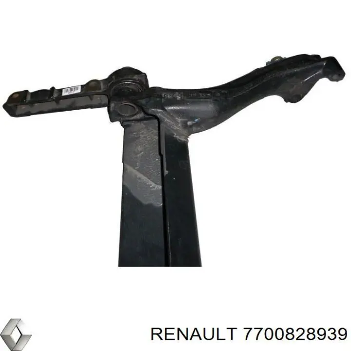  7700828939 Renault (RVI)