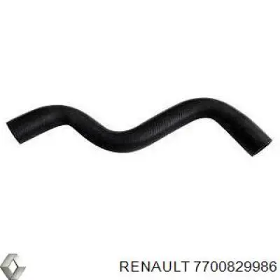 7700829986 Renault (RVI) шланг/патрубок радіатора охолодження, верхній