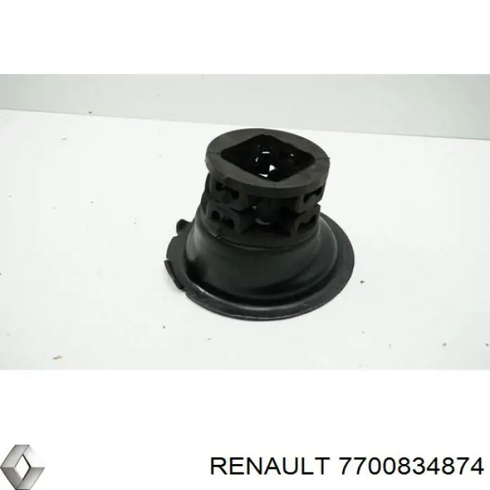  7700834874 Renault (RVI)