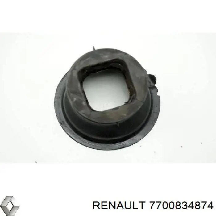  Renault (RVI) 7700834874 ціна, від 24.25 USD