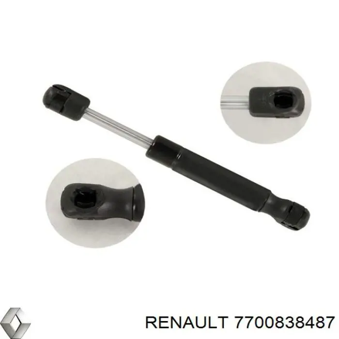 Амортизатор двері задньої Renault (RVI) 7700838487 ціна, від 7.39 USD