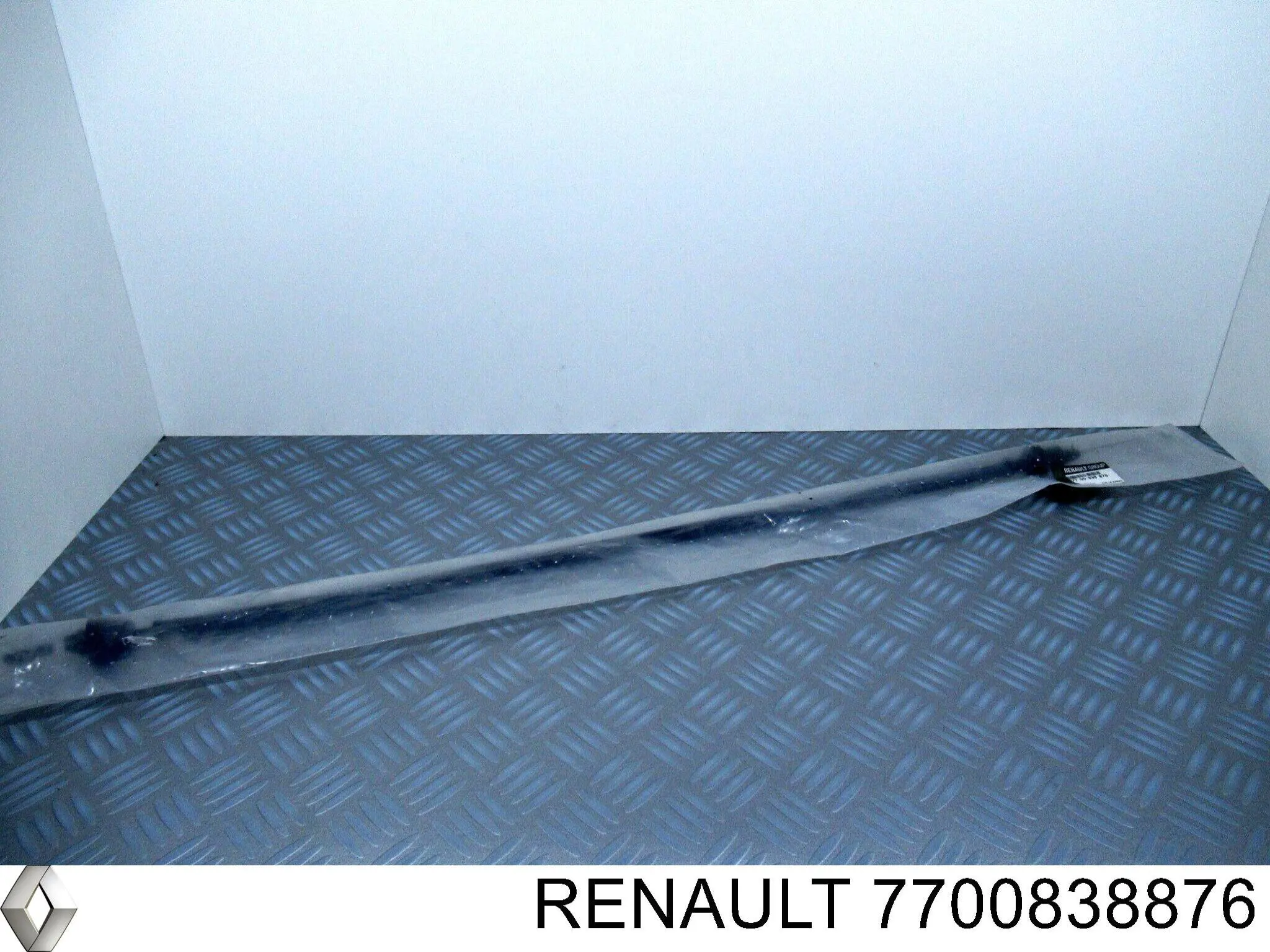  7700838876 Renault (RVI)