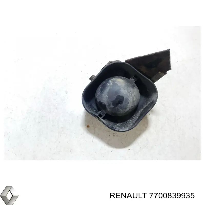  7700839935 Renault (RVI)