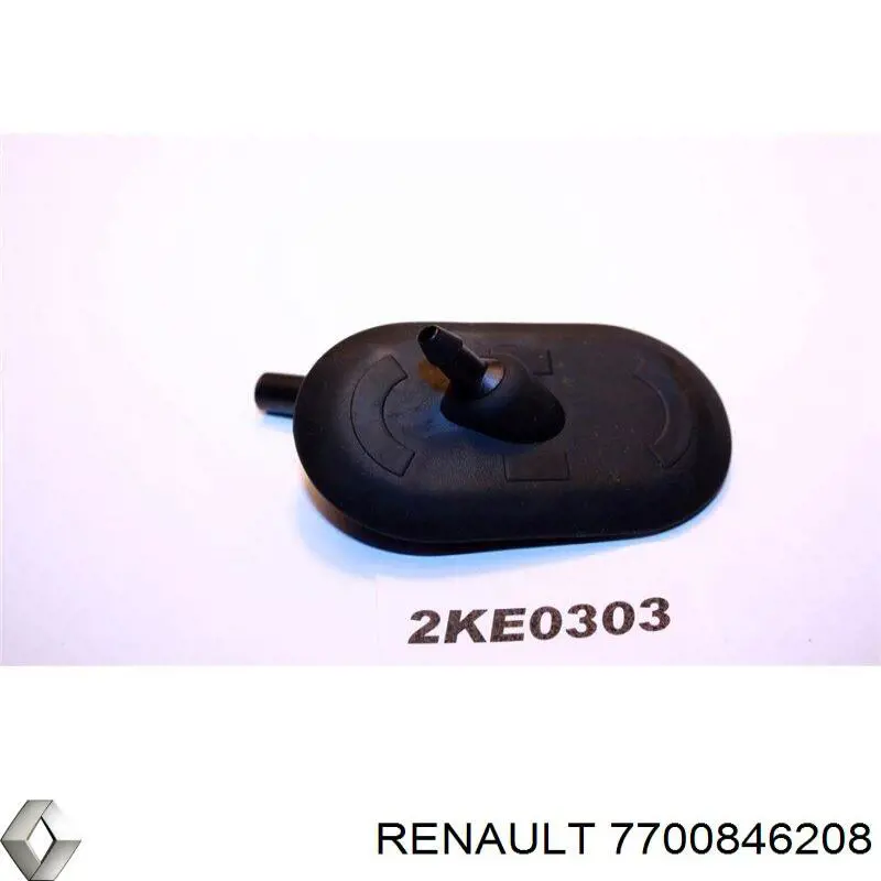  7700846208 Renault (RVI)