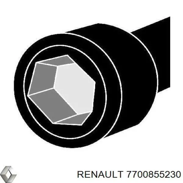  7700855230 Renault (RVI)