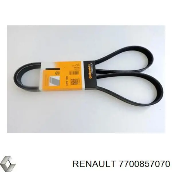 Клиновий ремінь Renault (RVI) 7700857070 ціна, від 13.63 USD