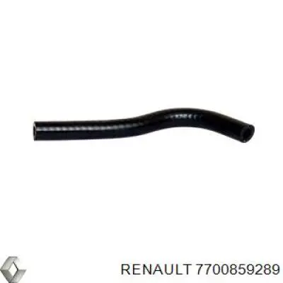  7700859289 Renault (RVI)