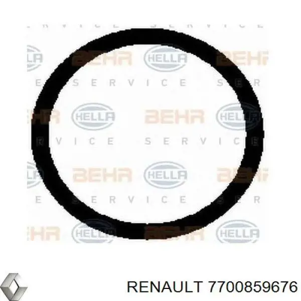 Компресор кондиціонера 7700859676 Renault (RVI)