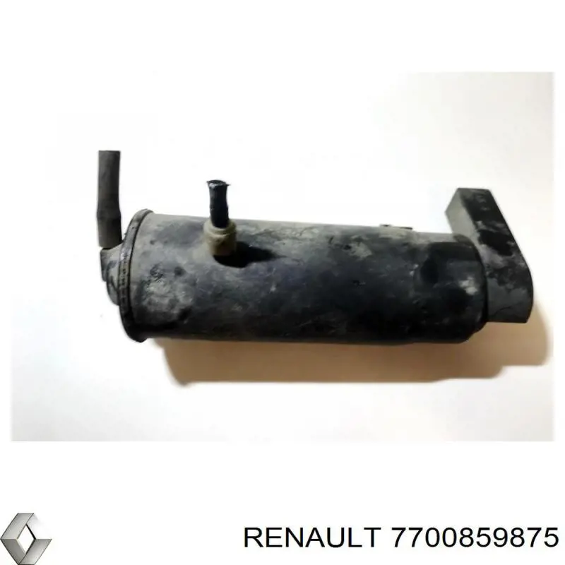  7700859875 Renault (RVI)