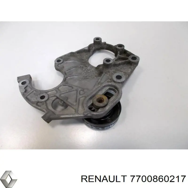 7700860217 Renault (RVI) ролик приводного ременя, паразитний