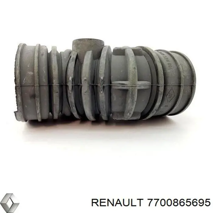  7700865695 Renault (RVI)