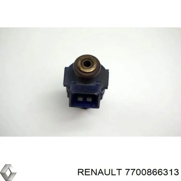 7700866313 Renault (RVI) 
