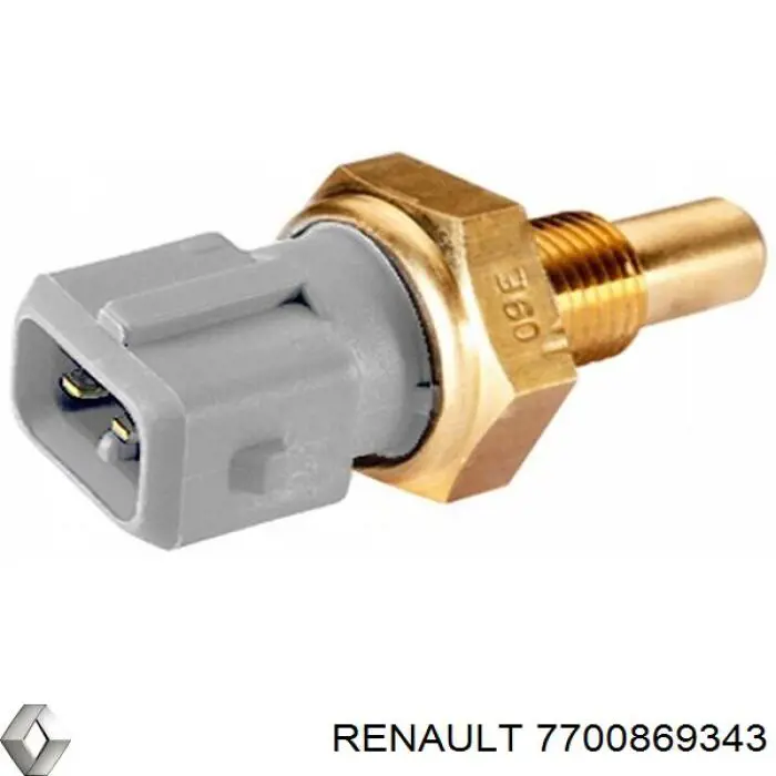  7700869343 Renault (RVI)