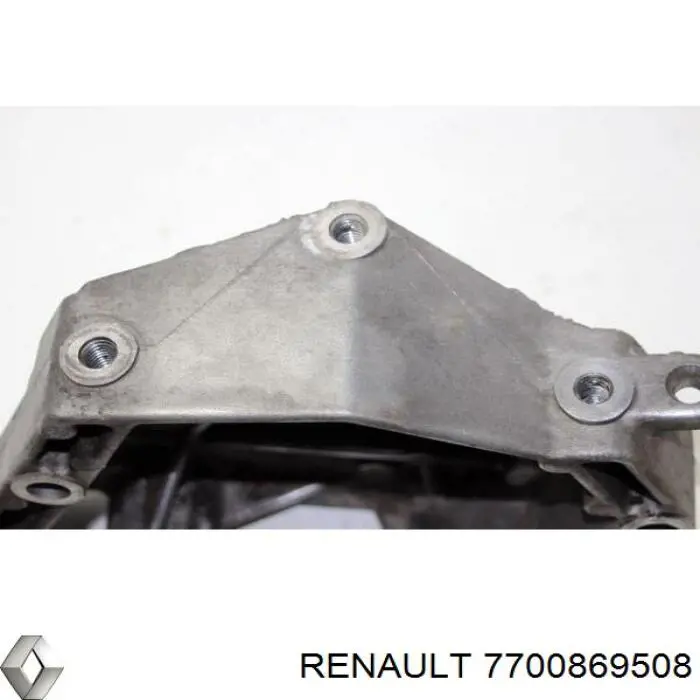  7700869508 Renault (RVI)