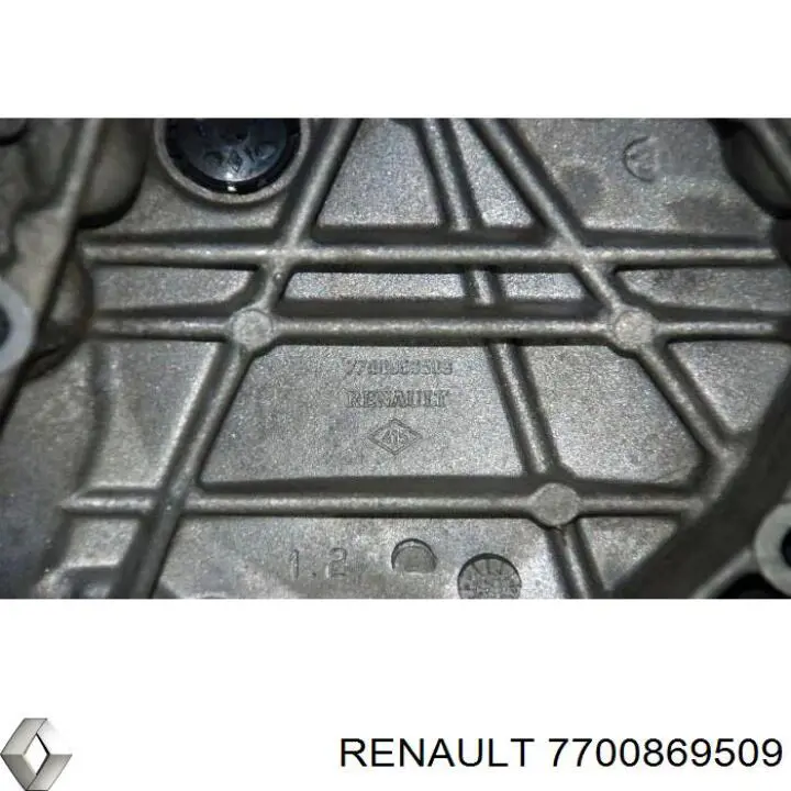 7700869509 Renault (RVI) 