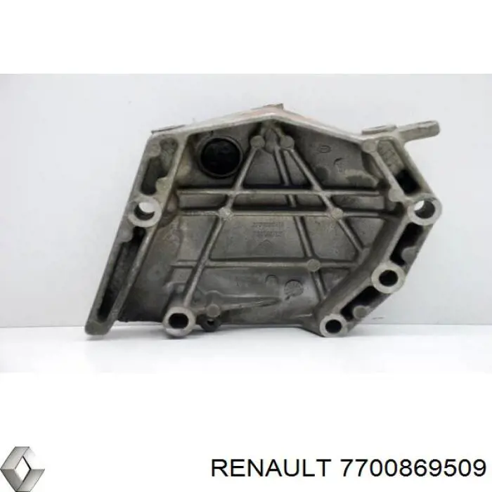  Renault (RVI) 7700869509 ціна, від 29.37 USD