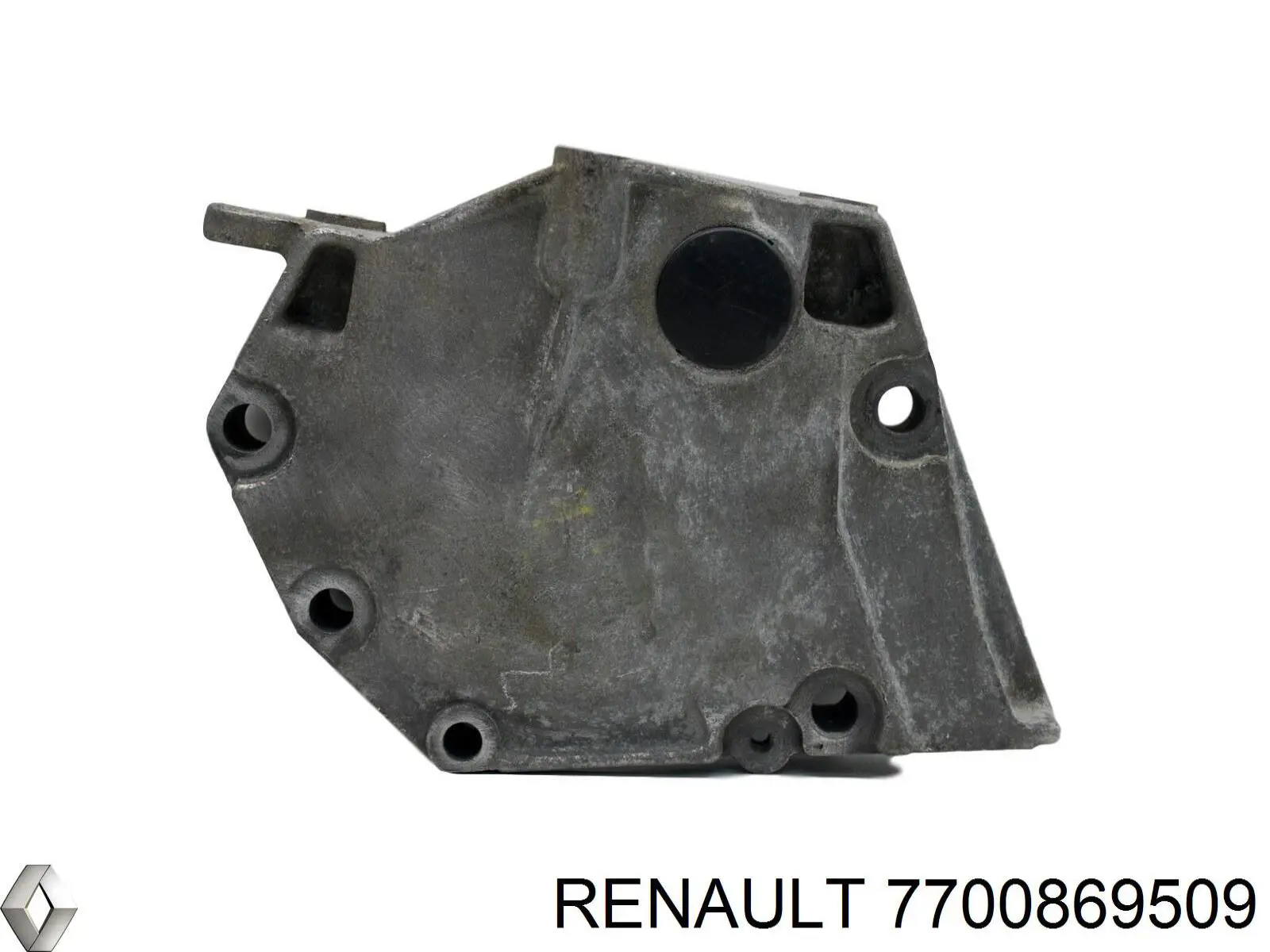 Купити 7700869509 Renault (RVI) 