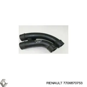 7700870753 Renault (RVI) 