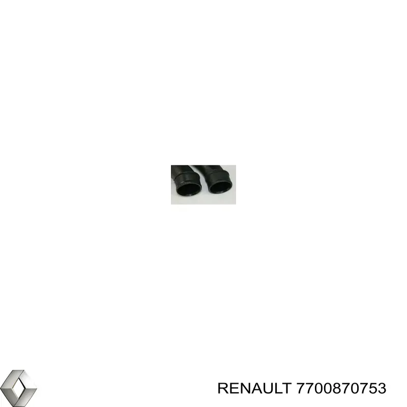 Купити 7700870753 Renault (RVI) 
