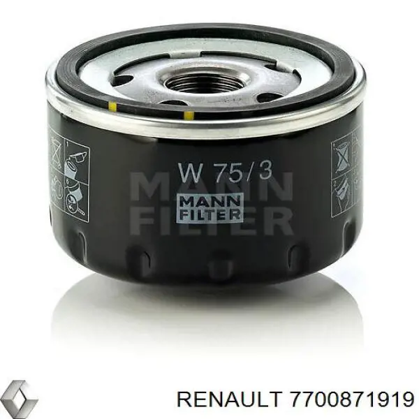 Фільтр масляний Renault (RVI) 7700871919