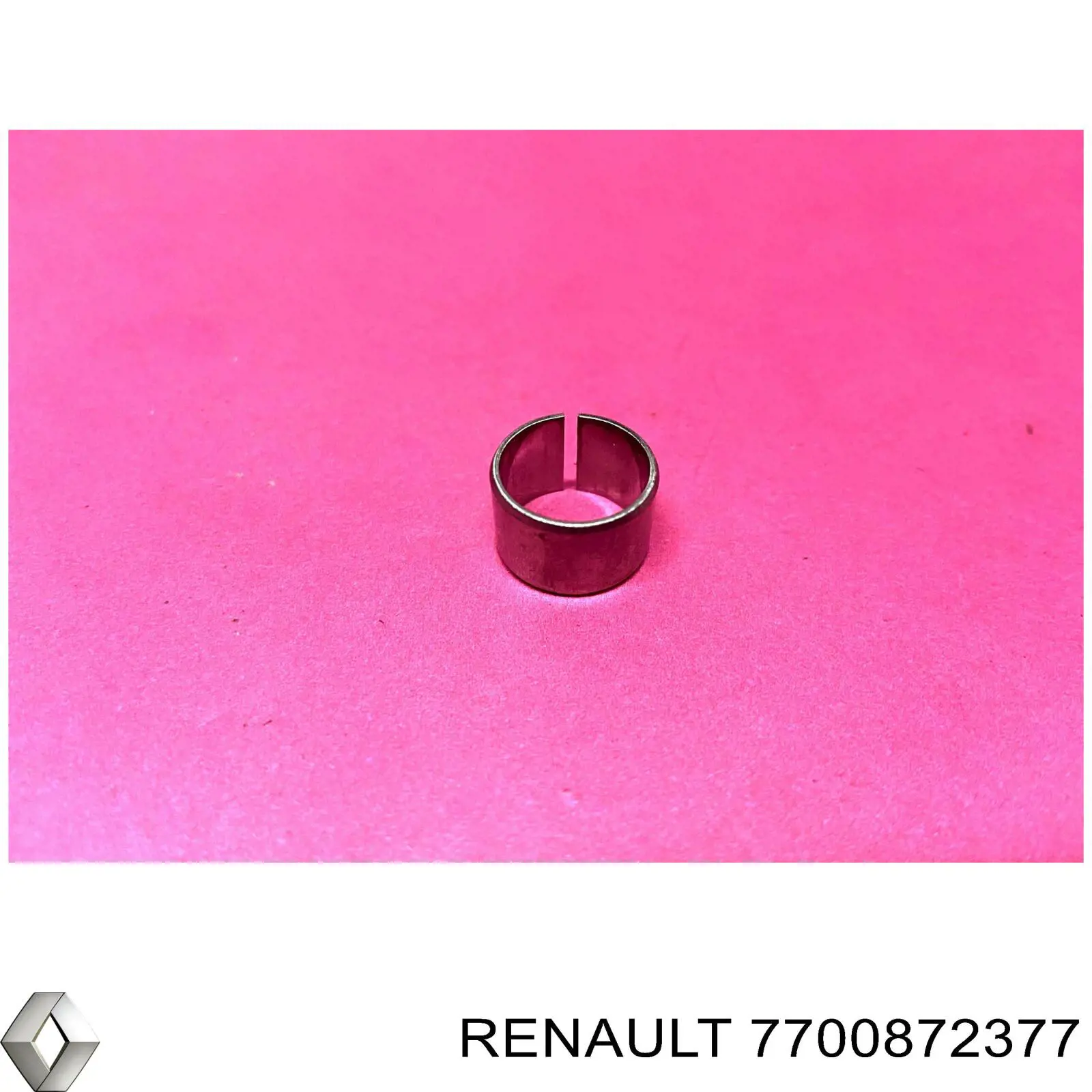  7700872377 Renault (RVI)