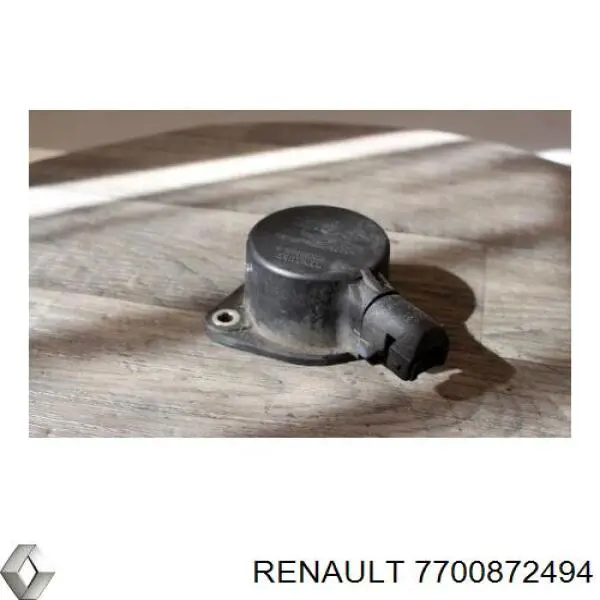  7700872494 Renault (RVI)