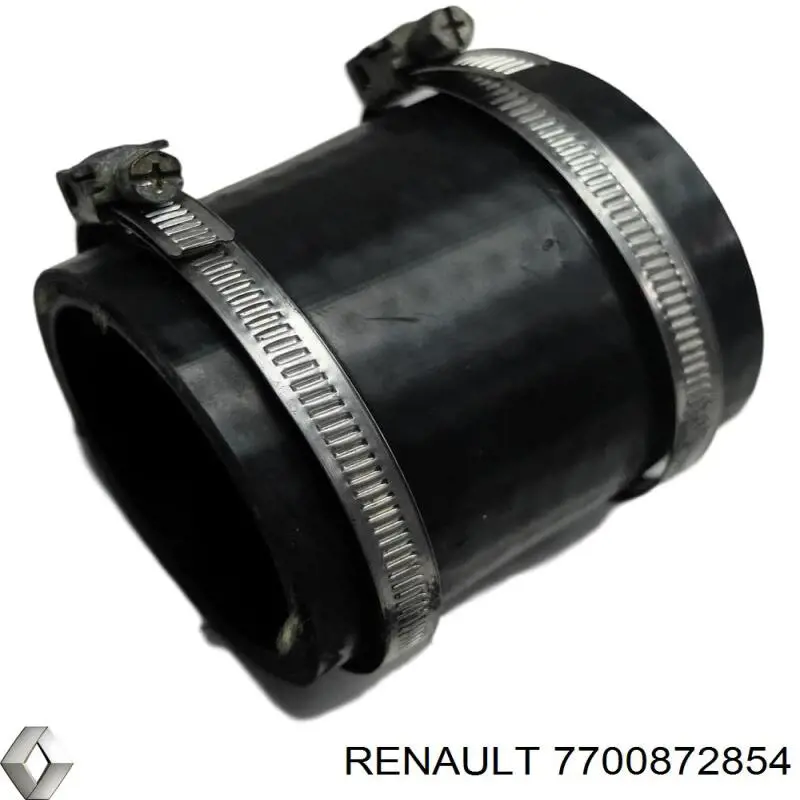 Купити 7700872854 Renault (RVI) 